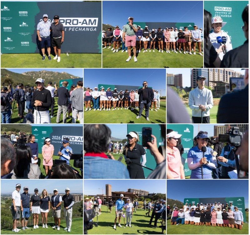 pro am3 l
